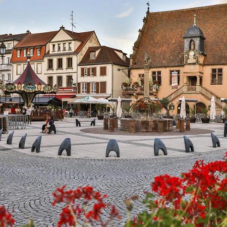 Studio Cosy A Molsheim Calme, Centre-Ville Et Acces Strasbourg Luaran gambar