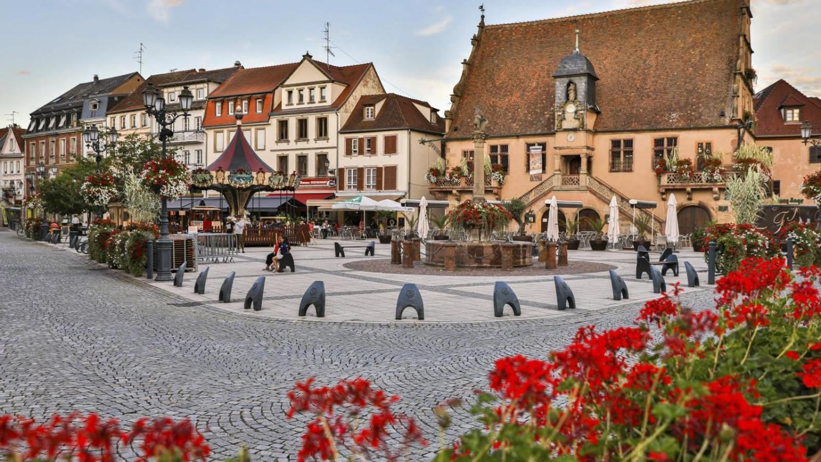Studio Cosy A Molsheim Calme, Centre-Ville Et Acces Strasbourg Luaran gambar